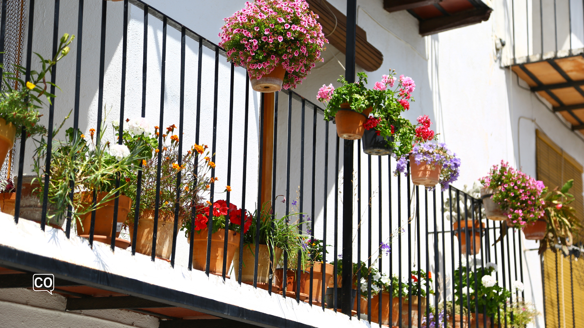 l'œillet sur un balcon espagnol