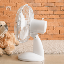  El ventilador: Le ventilateur (Espagnol)