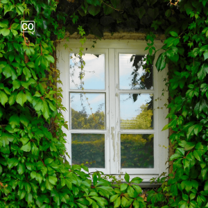  La ventana: La fenêtre (Espagnol)