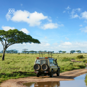  El safari: Le safari (Espagnol)