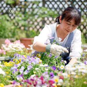  La jardinería: Le jardinage (Espagnol)