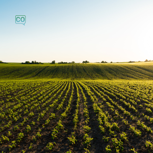  La agricultura: L'agriculture (Espagnol)